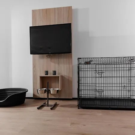 Pet-friendly Lodge, On A In A Environment *