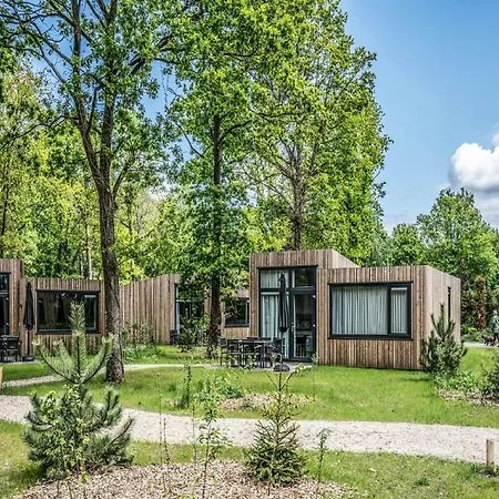 Pet-friendly Lodge, On A In A Environment